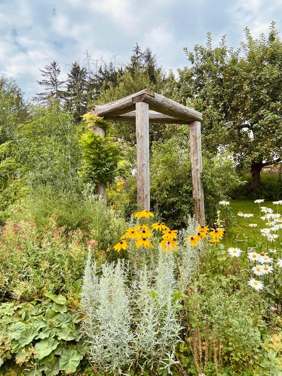 Dřevěná pergola s Rudbeckií
